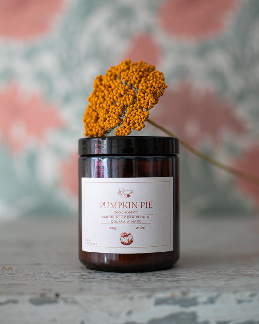 Pumpkin Pie